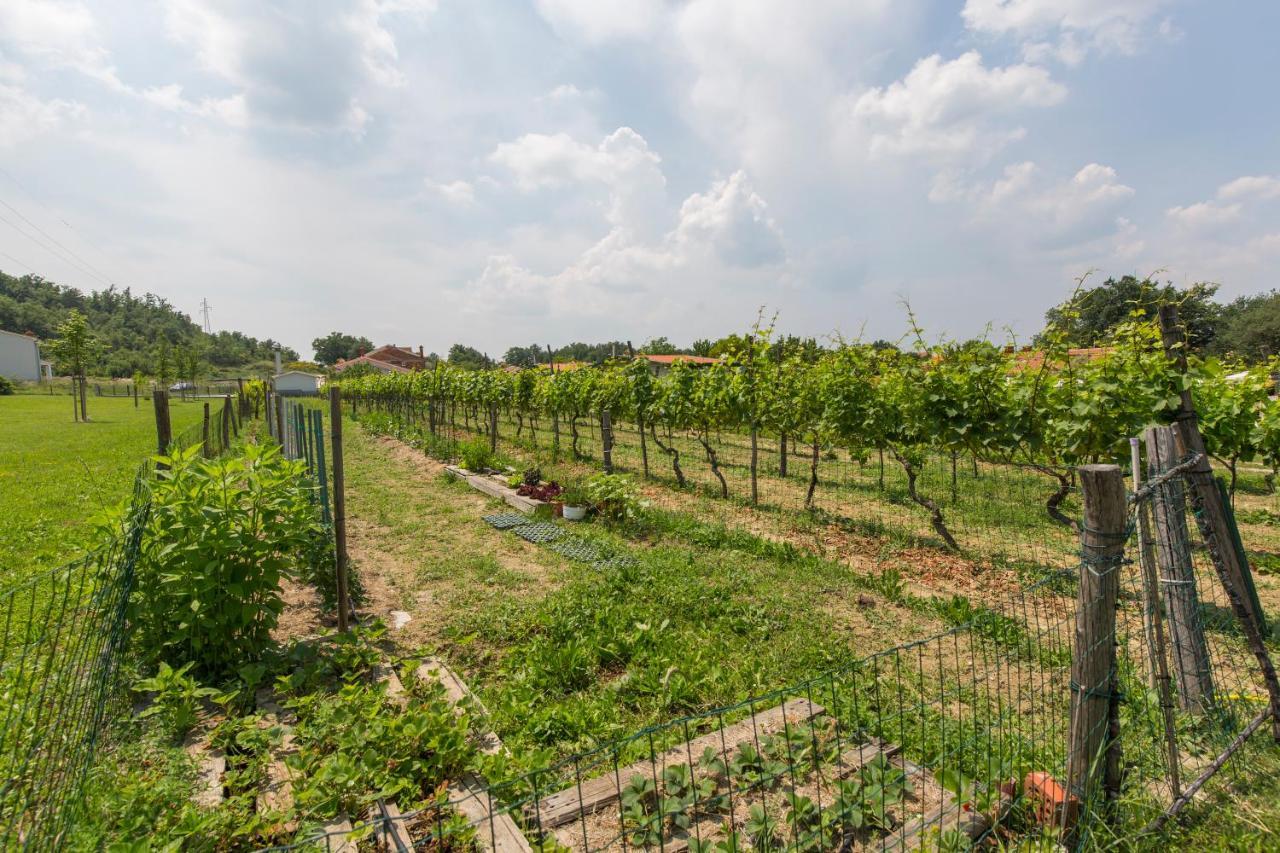 Kamp Romantik - Glamping Labin  Zewnętrze zdjęcie